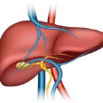 Liver Specialist in Indore